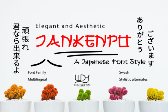 Jankenpo: A Stylish Display Font That Elevates Small Business Branding